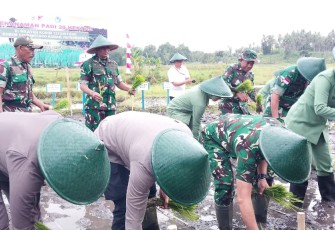 Danrem 131/Santiago, Brigjen TNI Martin Susilo Turnip, S.H.,M.H, memimpin kegiatan penanaman padi dilahan ketahanan pangan Kodim 1310/Bitung, Korem 131/Stg, Kodam XIII/Merdeka yang berlokasi diwilayah Kelurahan Tanjung Merah, Kecamatan Matuari Kamis, (21/8/25)