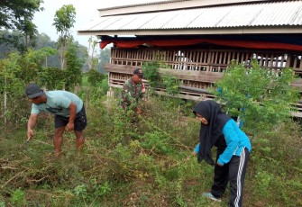 Babinsa Golan Sertu Nyono Riadi Ajak Perangkat dan Warga Kerja Bakti di Pendopo Desa