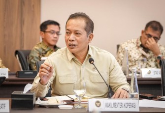 Wamenkop Ferry Juliantono 