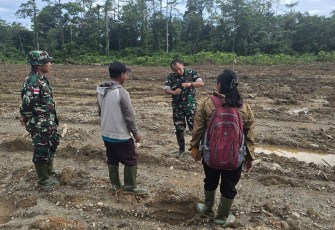 Dandim 1710/Mimika Gandeng PPL dan Kelompok Petani Dalam Pemanfaatan Lahan Tidur Menjadi Lahan Produktif