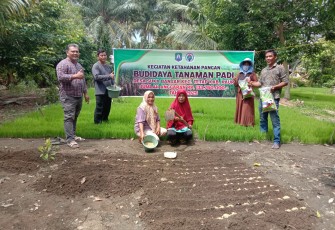 Desa Suka Banjar Kecamatan Tetap Lakukan Penanaman Padi 
