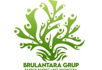 Bandar Laut Dunia Grup (BALAD Grup)