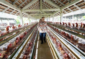 Menkop Budi Arie Setiadi mengunjungi peternakan ayam petelur di Bantul, Yogyakarta, Jum'at (21/2)