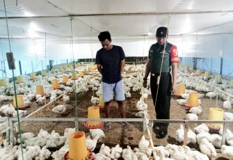 Sambangi peternakan ayam warga desa binaan