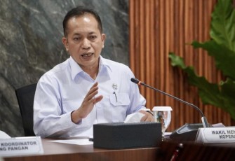 Wamenkop Ferry Juliantono 