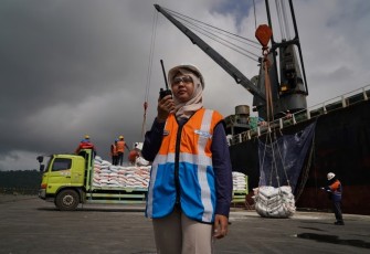 Ilustrasi Berita (PT Pelindo Multi Terminal)