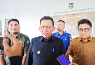 Gubernur Ansar Ahmad