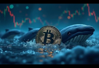 Sejak 2022 Baru Terjadi Lagi Whale Bitcoin Jual 115.000 BTC
