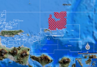 Wilayah Kerja (WK) Minyak dan Gas Bumi Perkasa