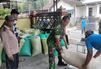 Babinsa Kelurahan Kanigoro Lakukan Pendampingan Serapan Gabah
