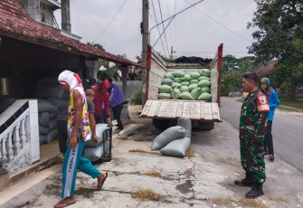 Anggota Koramil 0803-13/Kebonsari Pantau Penyerapan Gabah oleh Perum Bulog 