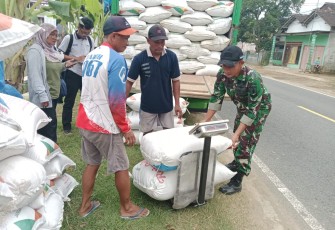 Babinsa Jadi Garda Depan Ketahanan Pangan