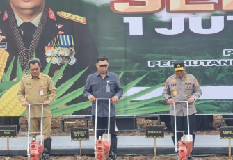 Penanaman Jagung Serentak 1 Juta Hektar di Subang