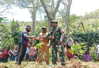Koramil 1715-02/Kiwirok Bersama Masyarakat Laksanakan Penanaman Pohon Kopi