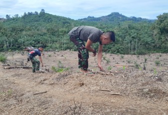 Satgas TMMD Ke-124 Kodim 0408/BS Bantu Warga Bersihkan Kebun Jagung