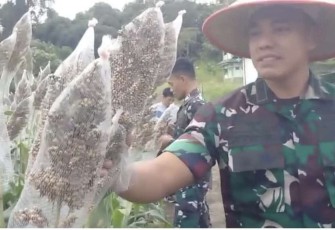 Danrem 121/ABW Bersama Jajaran Pastikan Petani Mendapatkan Pendampingan yang Optimal 