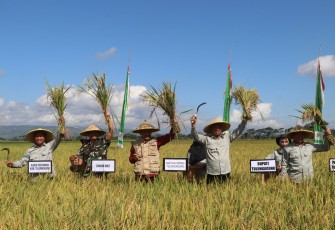  Tulungagung Ambil Bagian dalam Panen Raya Padi Serentak 14 Provinsi bersama Presiden RI
