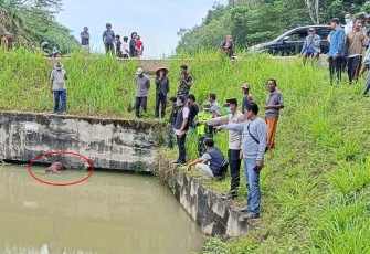 Mayat Perempuan Tanpa Identitas saat Ditemukan Mengapung di Aliran Sungai Irigasi Desa Nusa Muju