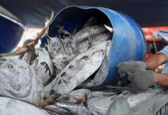 Produk perikanan Indonesia 