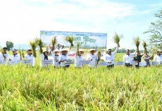 Dandim Ponorogo Dampingi Danrem 081/Dsj Ikuti Gerakan Menanam dan Panen Raya Padi Padi Serentak bersama Presiden RI Secara Virtual