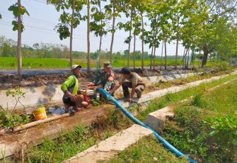 Koramil 0803-14/Dagangan, Serda Aan Muhariyanto, aktif berperan serta dalam pendampingan pertanian di wilayah binaannya. Bersama warga Dusun Made, Serda Aan Muhariyanto melaksanakan pendampingan pengairan lahan sawah Kelompok Tani (Poktan) Wilujeng Rahayu, Minggu (23/2)