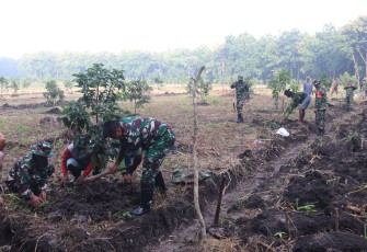 Kodim 0805 Ngawi dan Perhutani Berkolaborasi Kembangkan Sistem Agroforestri