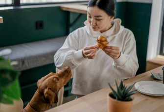 5 Rekomendasi Pet Friendly Cafe di Jakarta untuk Hangout di Akhir Pekan