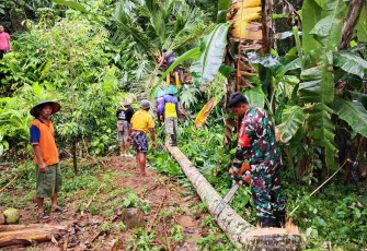 Evakuasi pohon tumbang di wilayah desa binaan 