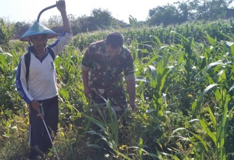 Bantu pemupukan lahan pertanian warga binaan 