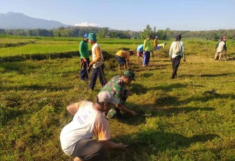 Gotong royong bersihkan lingkungan 