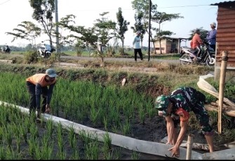 Bantu petani wilayah desa binaan 