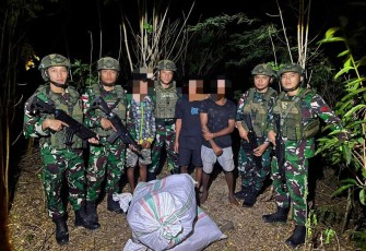 Tembakau ilegal di perbatasan