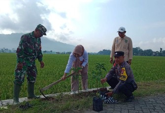 Aksi tanam pohon net zero carbon