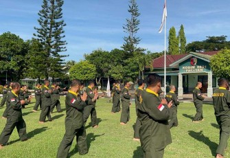Pencak silat militer 