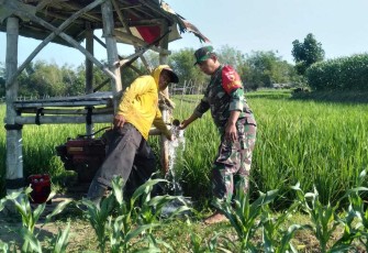 Pendampingan petani desa binaan