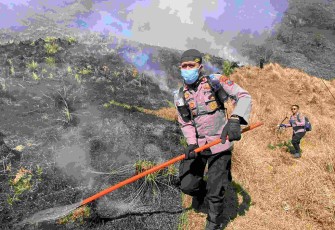 Penanganan karhutla di Lereng Gunung Bromo
