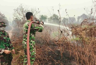 Pemadaman karhutla di Kecamatan Sebangau