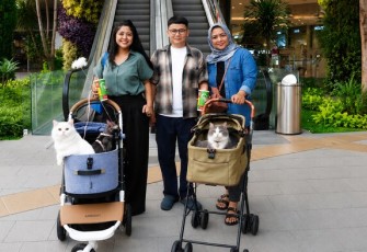 Grand Galaxy Park, cat-friendly mall