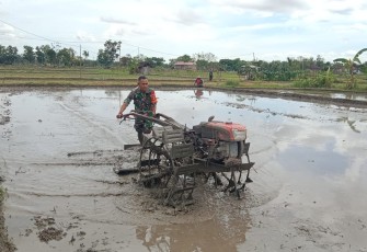 Babinsa Kodim Ponorogo Bantu Bajak Sawah 