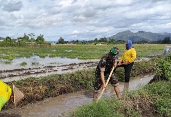 Koptu Yudi bantu petani wilayah desa binaan 