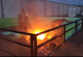 Polresta Sidoarjo Bongkar Lokasi Diduga Sabung Ayam