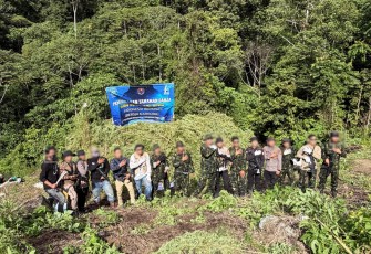 BNN Jaga Bangsa dari Narkotika Dengan Memusnahkan 12 Hektar Lahan Ganja 