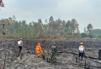 Penanganan Karhutla di Wilayah Kalbar Terus Membaik, Titik Api Turun