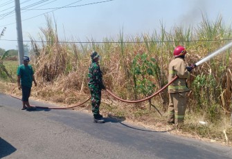 Babinsa dan Warga Berjibaku Padamkan Kebakaran Kebun Tebu di Sambirejo