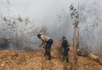 Hutan di Gunung Sadranan Kecamatan Slahung Terbakar, Babinsa Broto Bersama Komponen masyarakat Sigap Padamkan Api 