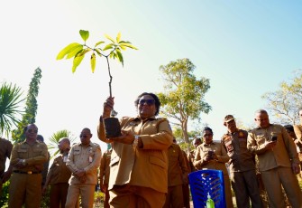 Wakil Menteri Dalam Negeri (Wamendagri) Ribka Haluk