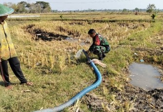 Pompanisasi di wilayah desa binaan