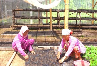 MIND ID Bina Lebih dari 10.000 UMKM