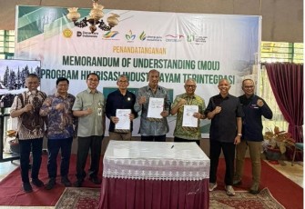 PTPN I Bangun Ekosistem Terintegrasi di Bone