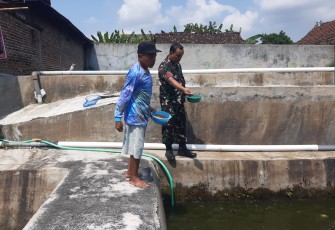 Sentuhan Babinsa di Kolam Lele Desa Bagi